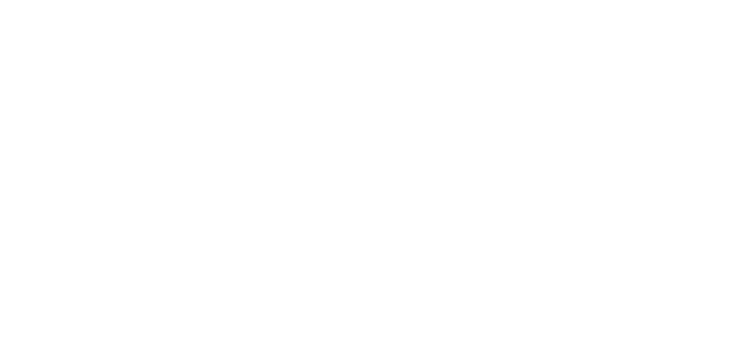 logo université de Lyon